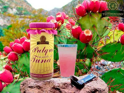 Imagen 2 de 2 de Pulque De Tuna Roja Artesanal 250ml