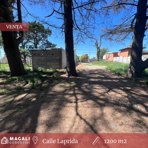 Lote En Venta -  Calle Laprida