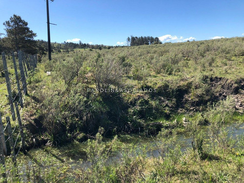 Campo En Venta Excelente Lugar- Ref: 3643