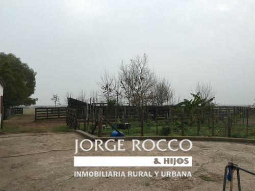 Imagen 18 de 21 de 390 Has. Campo Ganadero A Tranquera Cerrada