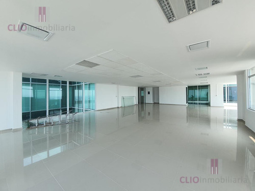Maravillosa Ofcina En El Piso 18 De La Torre 1519