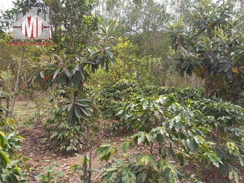Imagem 20 de 30 de Ótima Chácara Com 3 Dormitórios, Rico Em Água, Lago E Nascente, Arborizada, Bem Localizada, À Venda, 5000 M² Por R$ 280.000 - Rural - Tuiuti/sp - Ch1011