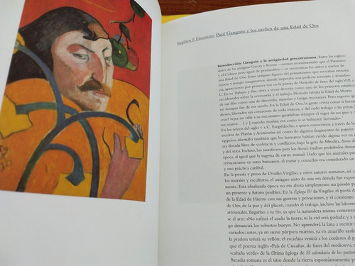 Libro Paul Gauguin 
