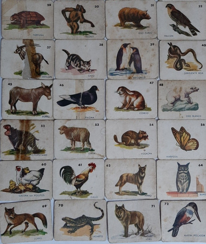 Imagen 7 de 8 de Antiguas Figuritas Animales Cartón Lote X 60 Ro 293