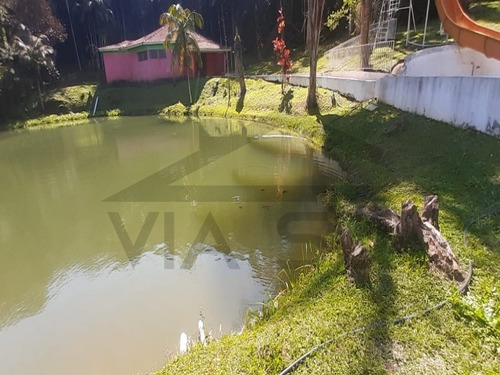 Imagem 14 de 30 de Lindo Sítio De 05 Alqueires Apenas 500m Da Rodovia, Ideal Para Formar Uma Pousada, Acampamento E Até Uma Fábrica. - 233 - 34266321