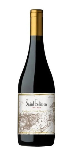 Vino Saint Felicien Pinot Noir X750cc