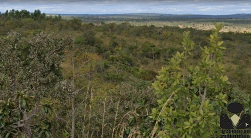 Imagem 14 de 19 de Chacara - Oci0142 - 71019645