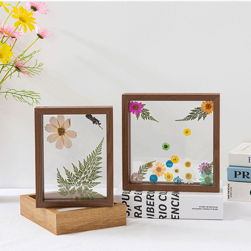 Marco Para Muestras De Flores Y Hojas Secas Con Marco De Cri