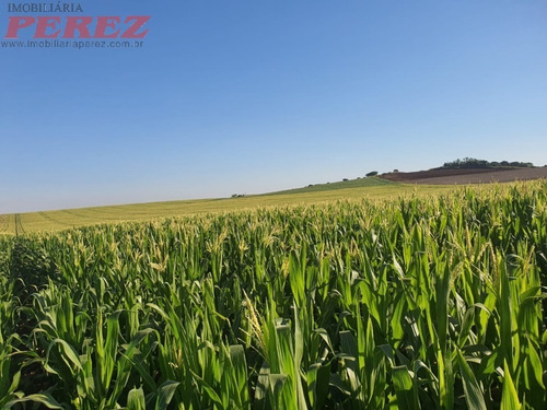 Imagem 4 de 24 de Chácaras_sítios_fazendas Para Venda - 13650.8047