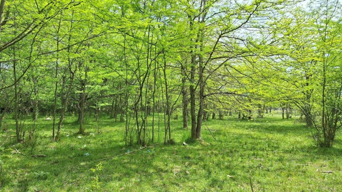 Hectarea De Campo En Marcos Paz