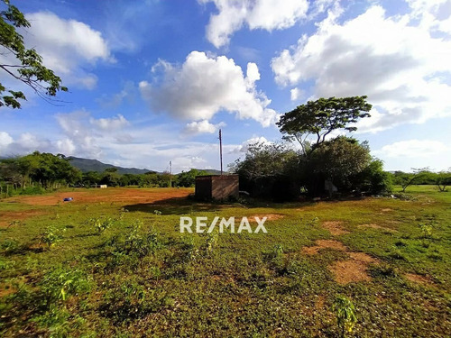 Imagen 7 de 9 de Re/max 2mil Vende Terreno Agricola En Santa Ana - Isla De Margarita