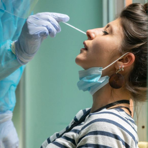 Swab Para Coleta De Amostras Haste Plástica 100un Olen