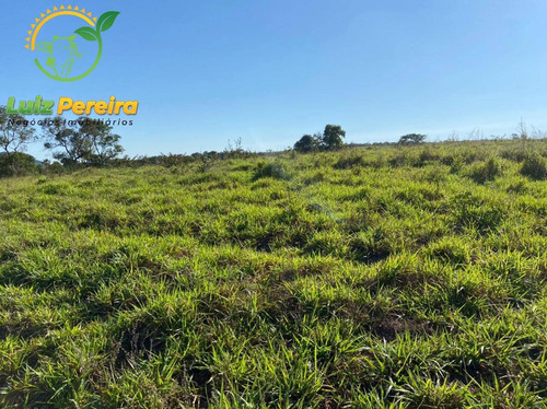 Imagem 15 de 15 de Fazenda À Venda Em Camapuã - Ms - 187 Hec (dupa Aptidão) - 1939