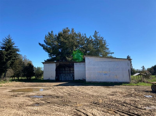 Imagen 10 de 18 de Predio Agrícola En Frutillar