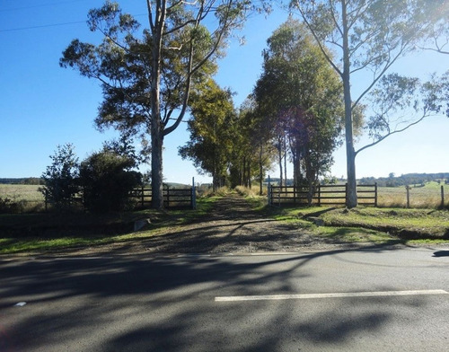 Campo Con Casa 150 Ha Aprox. A 11 Km. Osorno $ 2.247.000