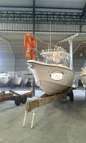 Fishing 265 Evinrude E-tec 250 Hp 2007. Caiera