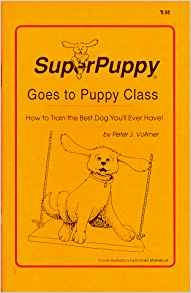 Superpuppy Va A La Clase De Cachorros Como Entrenar Al Mejor