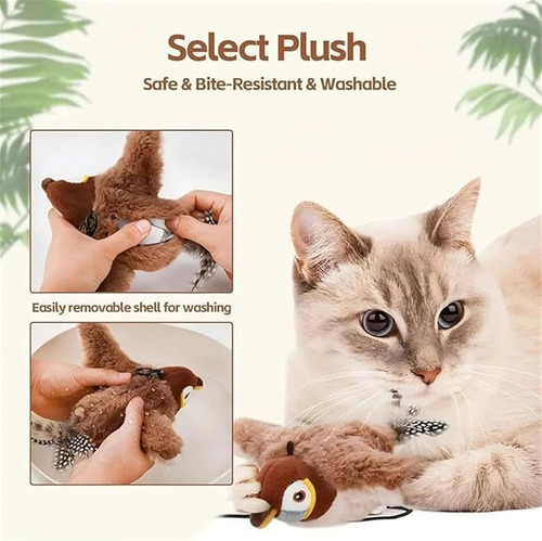 Brinquedos Interativos Para Gatos, Pássaros E Pássaros,