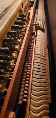 Imagen 6 de 12 de Piano Vertical Danemann Cod 95137