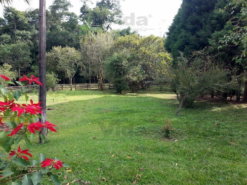 Imagem 13 de 15 de Chácara Para Venda, 10000.0m² - 33379