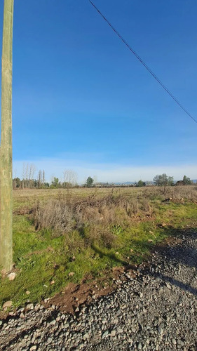 Parcelas De Agrado En Venta, Molina