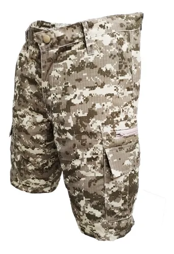 La ardilla indumentaria militar sale