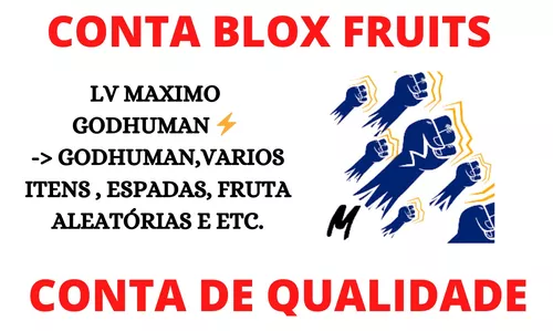 Conta Blox Fruits  Jogo de Computador Roblox Nunca Usado 89164250