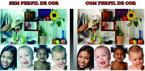 Perfil De Cor - Icc P/ Epson L355/l365/l375/l395 Sublimatica