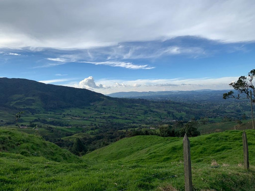 Imagen 6 de 30 de Vendo Finca Ganadera 66 Cuadras Alto Boquerón