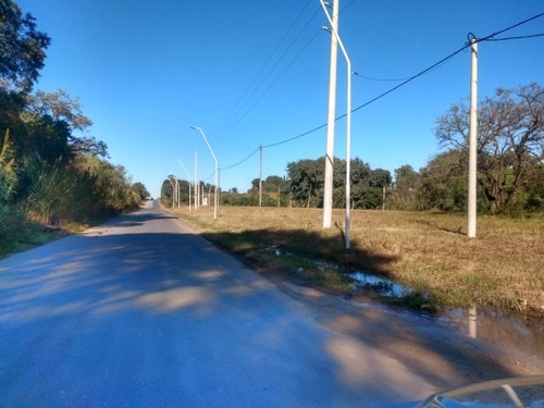 Lapachos Iii