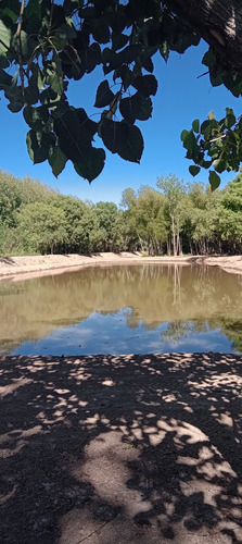 Imagen 10 de 10 de Movimiento De Suelos Con Maquina Excavadora Islas Delta Rio