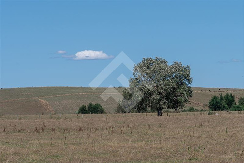 Imagen 7 de 19 de Sitio En Venta En Brisas De Loncotoro