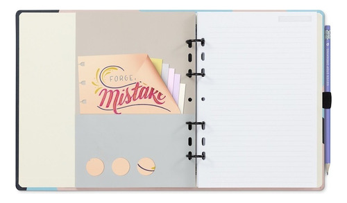 Caderno Organizador Ultra Slim Orna Pato Systemflex Ótima