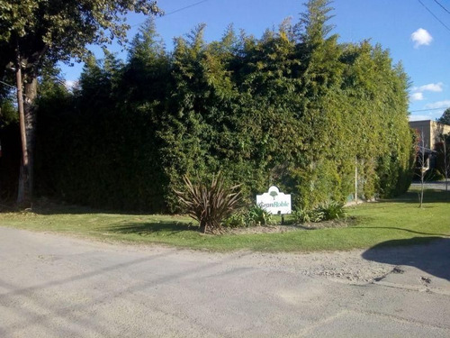Imagen 7 de 7 de Lote | Belgrano 2850