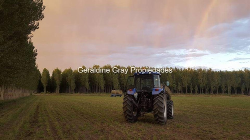 Campo En Venta De 70 Has Ubicado En Tratayen