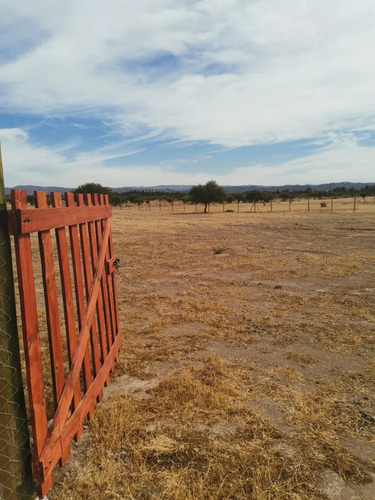 Parcela 5.000 M2  Rinconada De Alcones, Marchigüe