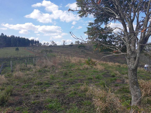 Imagem 10 de 14 de F20-lotes Na Planta Preços Únicos Em Atibaia
