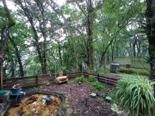 Imagen 12 de 30 de Vendo Preciosa Granja, Rodeada De Naturaleza, Excelente Ubicacion