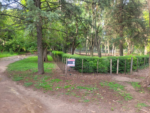 Terreno En Venta En Nono