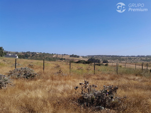Agrícola En Venta En Quintero
