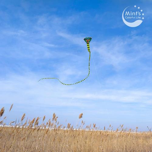 Cometa Cobra Para Toda La Familia Con Cola