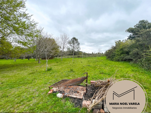 Venta De Chacra De 5,2 Hectareas Sobre Ruta 11 Con Casa De Campo
