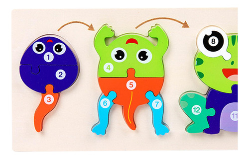 Ciclo De Vida De Madera De Animla Puzzle Brain Rana