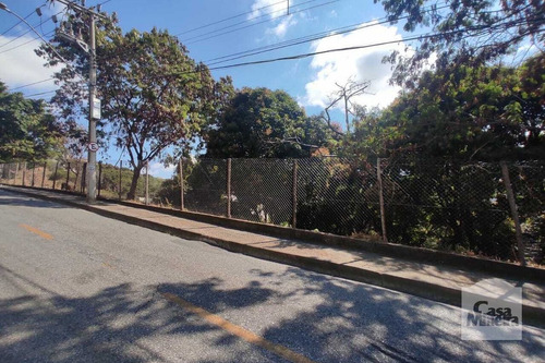 Imagem 5 de 5 de Casa À Venda No Luxemburgo - Código 328428 - 328428