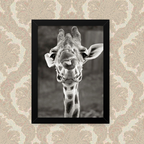 Quadro Girafa Lingua 33x43cm