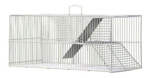 Ratoeira Para Ratos Camundongos Ratinhos Ratazanas