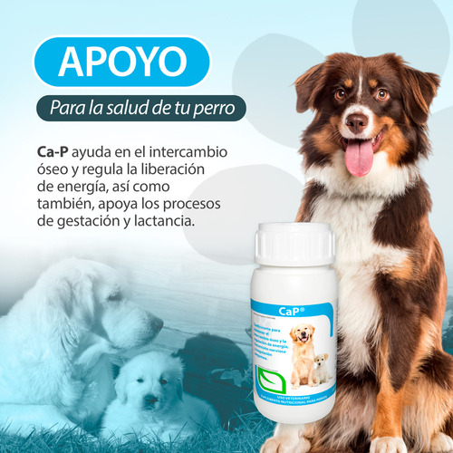 Pack 2 Ca-p Ruiland Vitaminas Minerales Perro 120 Tabletas