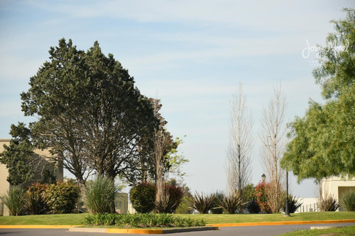Lote Interno #300-400 - Pilar Del Este - Santa Elena - 554m2 #id 8702