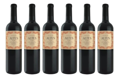 Caja X 6 - Gualtallary Wines - Altus Malbec