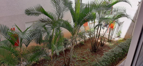 Imagem 19 de 21 de Apartamento Residencial Em São Paulo - Sp - Ap0697_rrx